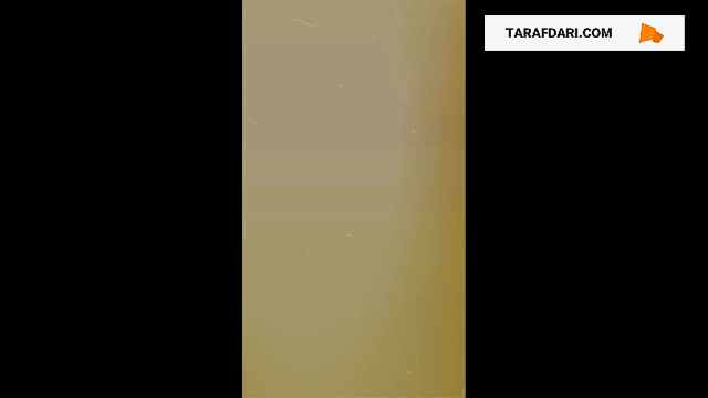 عملکرد میلان در مرحله یک چهارم نهایی لیگ قهرمانان اروپا / فیلم